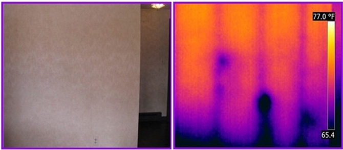 termites detected by infrared